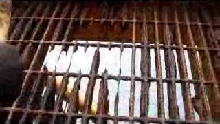 Gratings - Destructive Testing.wmv