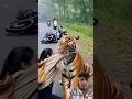 #junglelife #wildlifeencounter #chhotaalivlogs #animals