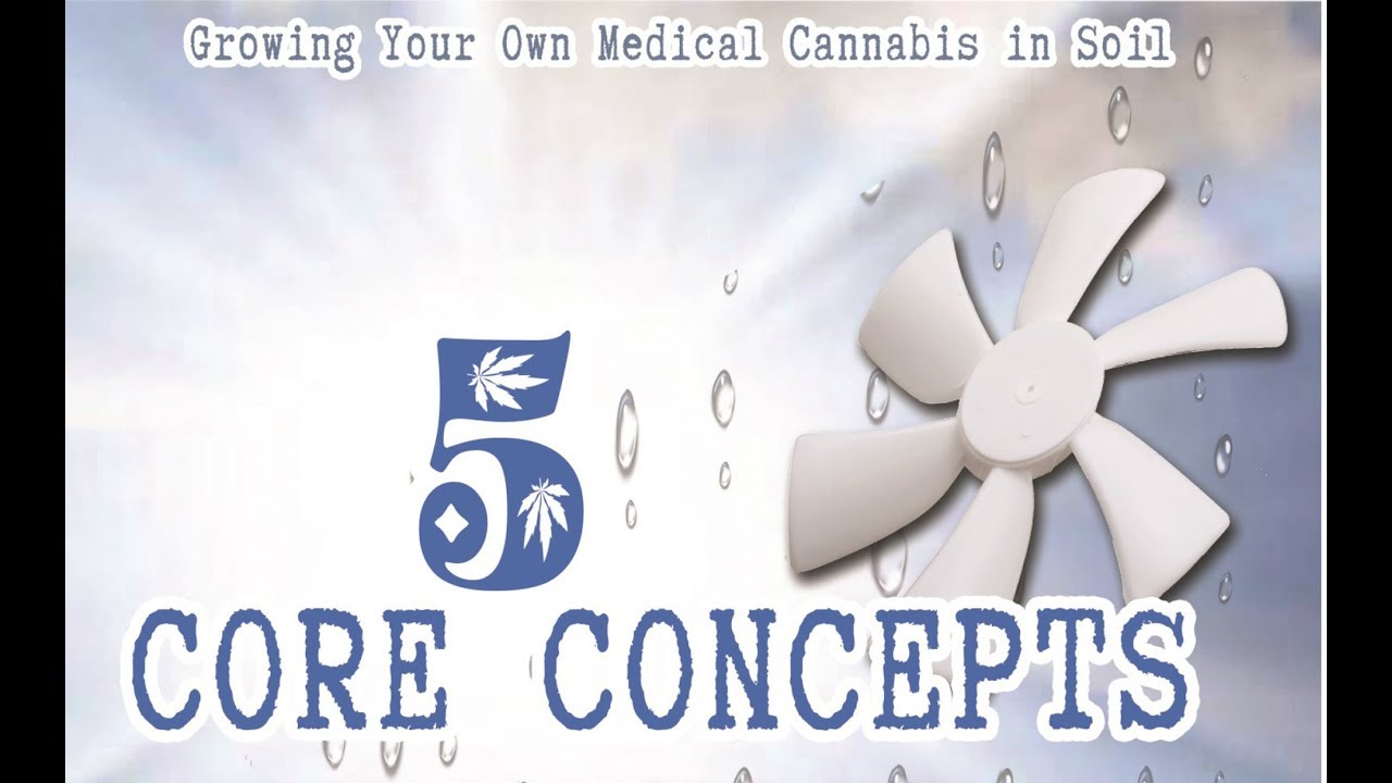 Cannabis Conversations - Growing Your Own Medical Cannabis In Soil