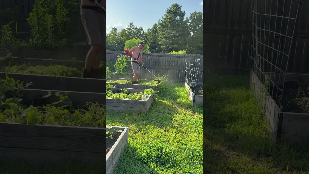 Kill the grass in the beds with cardboard and weight 