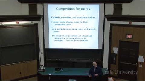 13. Sexual Selection