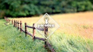 Afgo Beeghy - Din Folclor Original Mix
