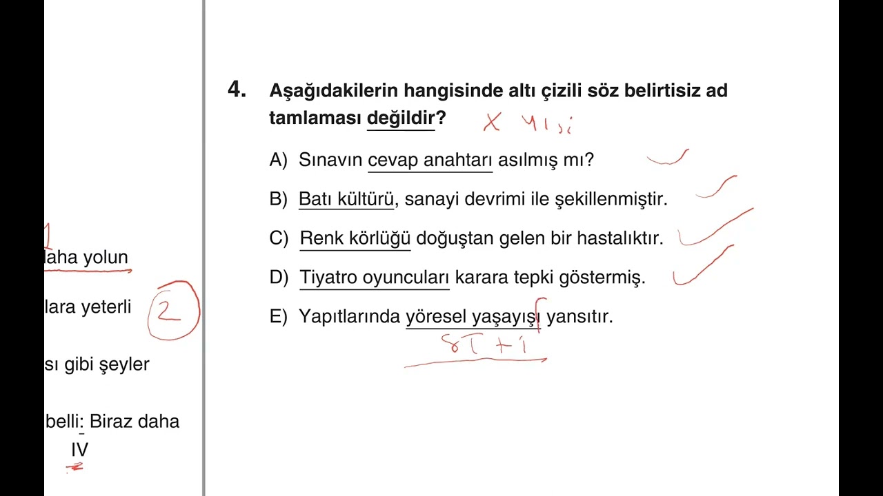 Dil Bilgisi Denemeleri, Deneme 49, Genel