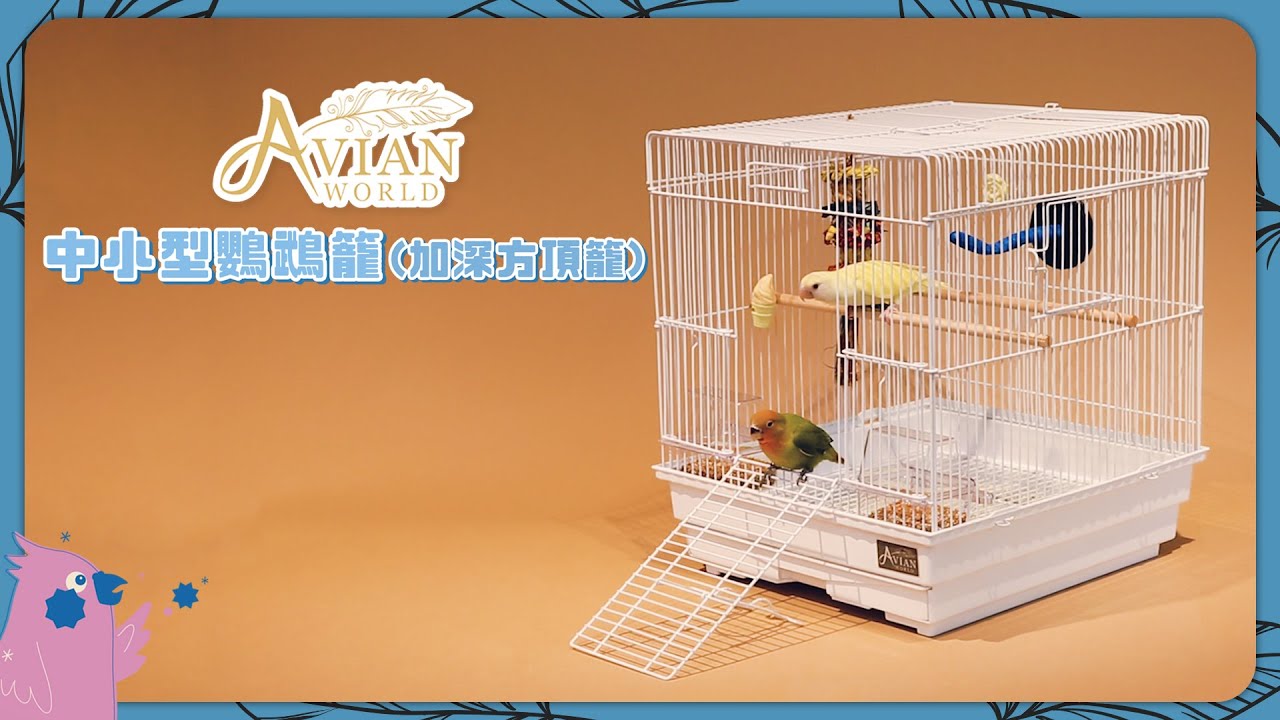 進口鳥籠】AVIAN WORLD《 中小型鸚鵡籠(加深方頂籠) 》家用＆外出都能