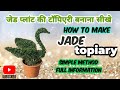       jade tarpori how to make jade tarpori in at home jade bonsai design idea