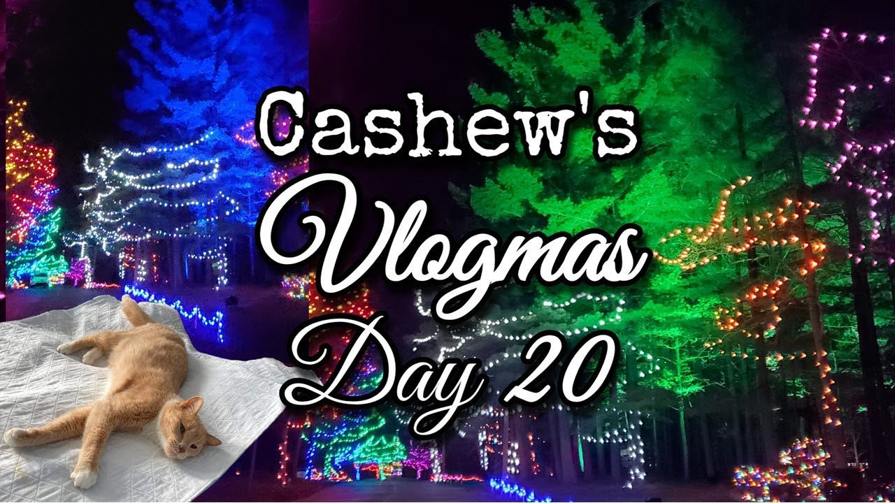 VLOGMAS Day 20 Cats, JOURNEY BOREALIS LIGHT DISPLAY Pyramid Hill