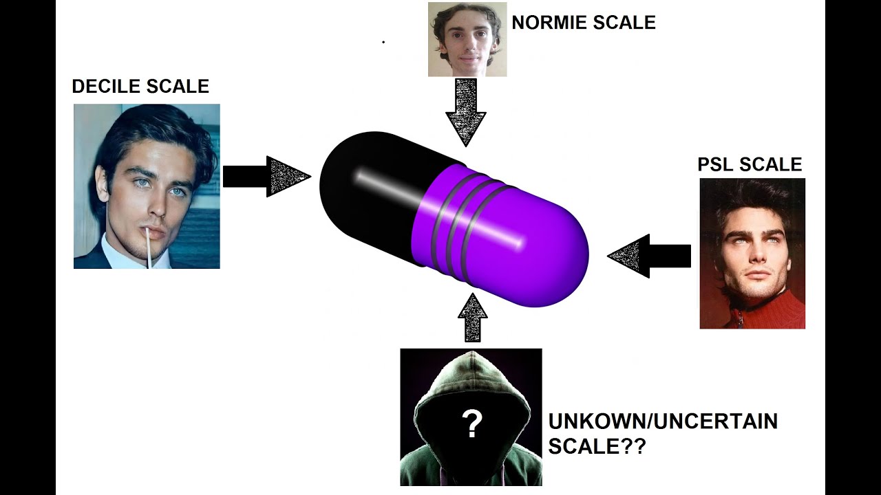 A Decentralized Pill for Looksmaxxing (the Creation of the BLACK-PURPLE PILL)