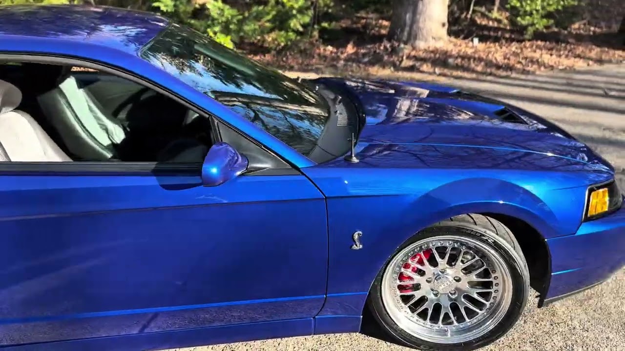 My Cammed 2003 Cobra!