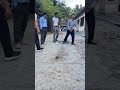 Tir à la pétanque amusant #15 | funny pétanque shooting #pétanque #petanque2022 #petanque2023