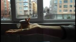 Mustafa Saffet Anadolu Li̇sesi̇ - Tleb