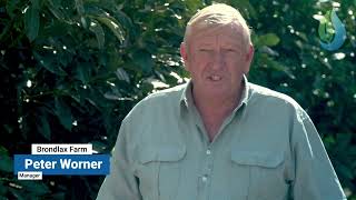 WIS Site Induction Module 1 20220315