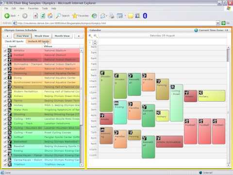 IBM ILOG Elixir First Application