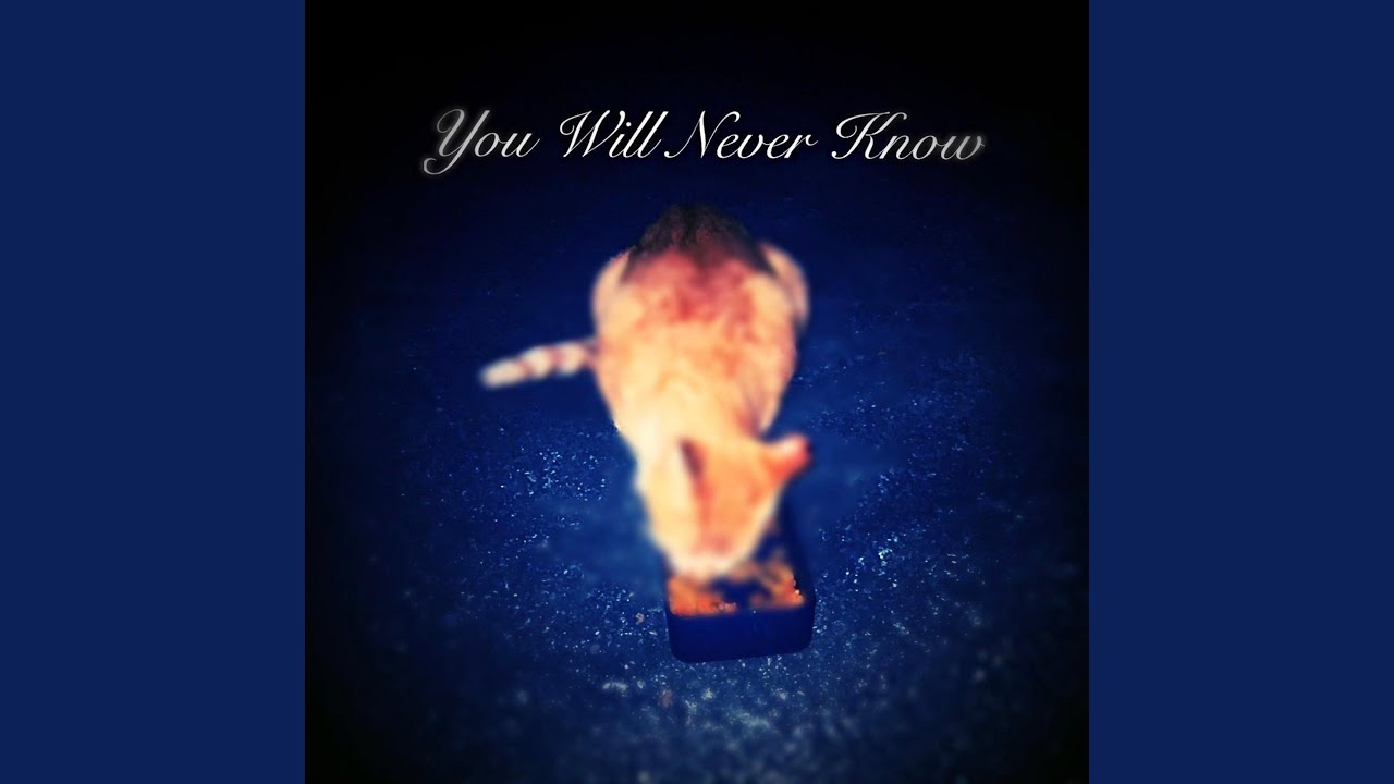 Watch You Will Never Know on YouTube Watch You Will Never Know on YouTube