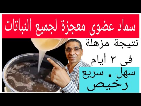 سماد عضوي معجزة لجميع أنواع النباتات نتائج مذهلة في 3 أيام فقط سهل وسريع ورخيص