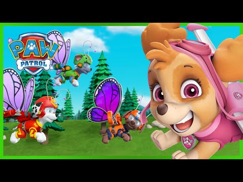 sammentrækning Udholdenhed Genoplive 5 Temporada Patrulha Canina PAW Patrol Episódio Português Pup Tales -  YouTube