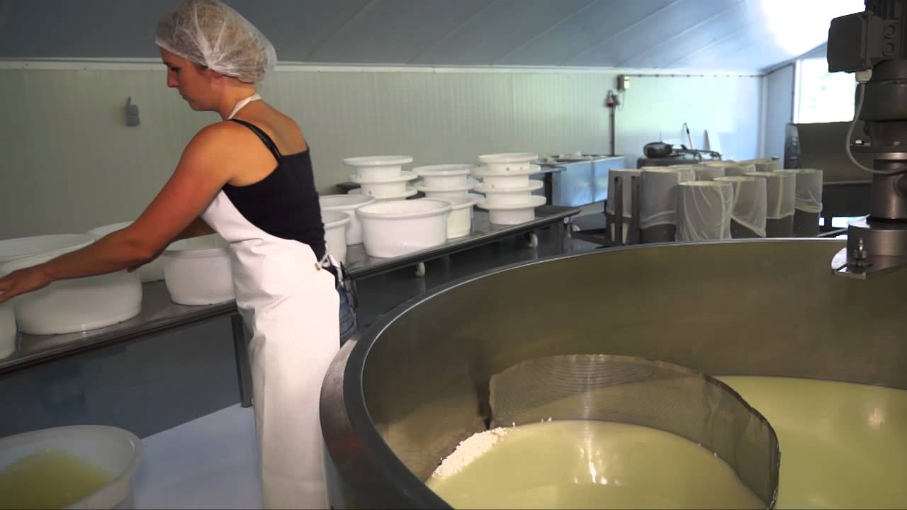Saannenhof het kaasmaken