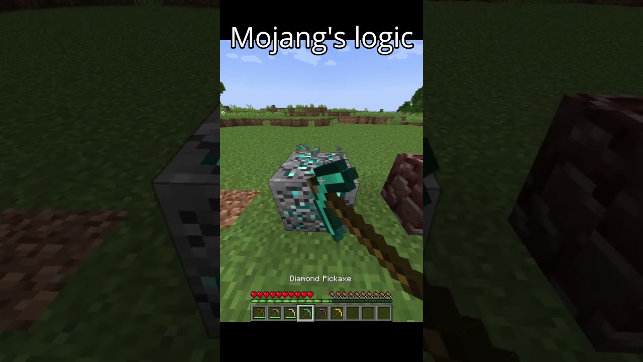 Mojang's logic fr 