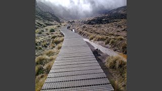 I'll Get There Eventually