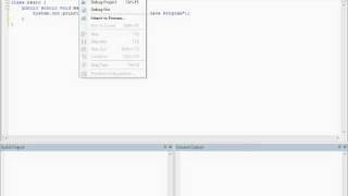 Basic Java Programming