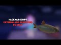 Fisch Hack Script / FREE FOR USE &amp; EXTERNAL (NO EXECUTOR)