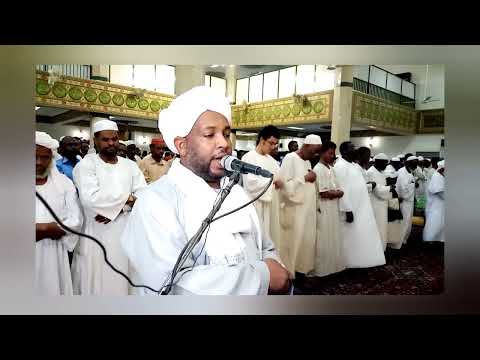 شيخ الزين سورة الذاريات