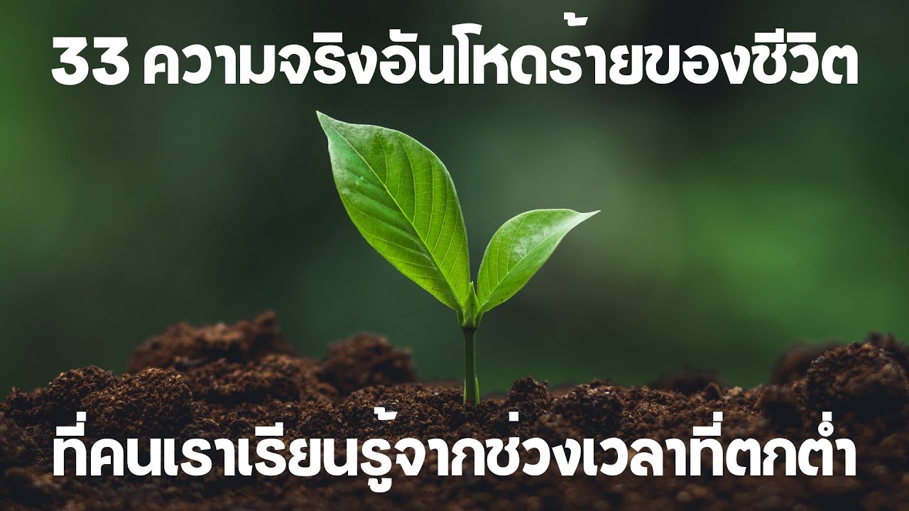33 ความจริงอันโหดร้ายของชีวิต ที่คนเราเรียนรู้จากช่วงเวลาที่ตกต่ำ  EP:174