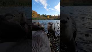 Su Samuruna Kamera Taktım 😅