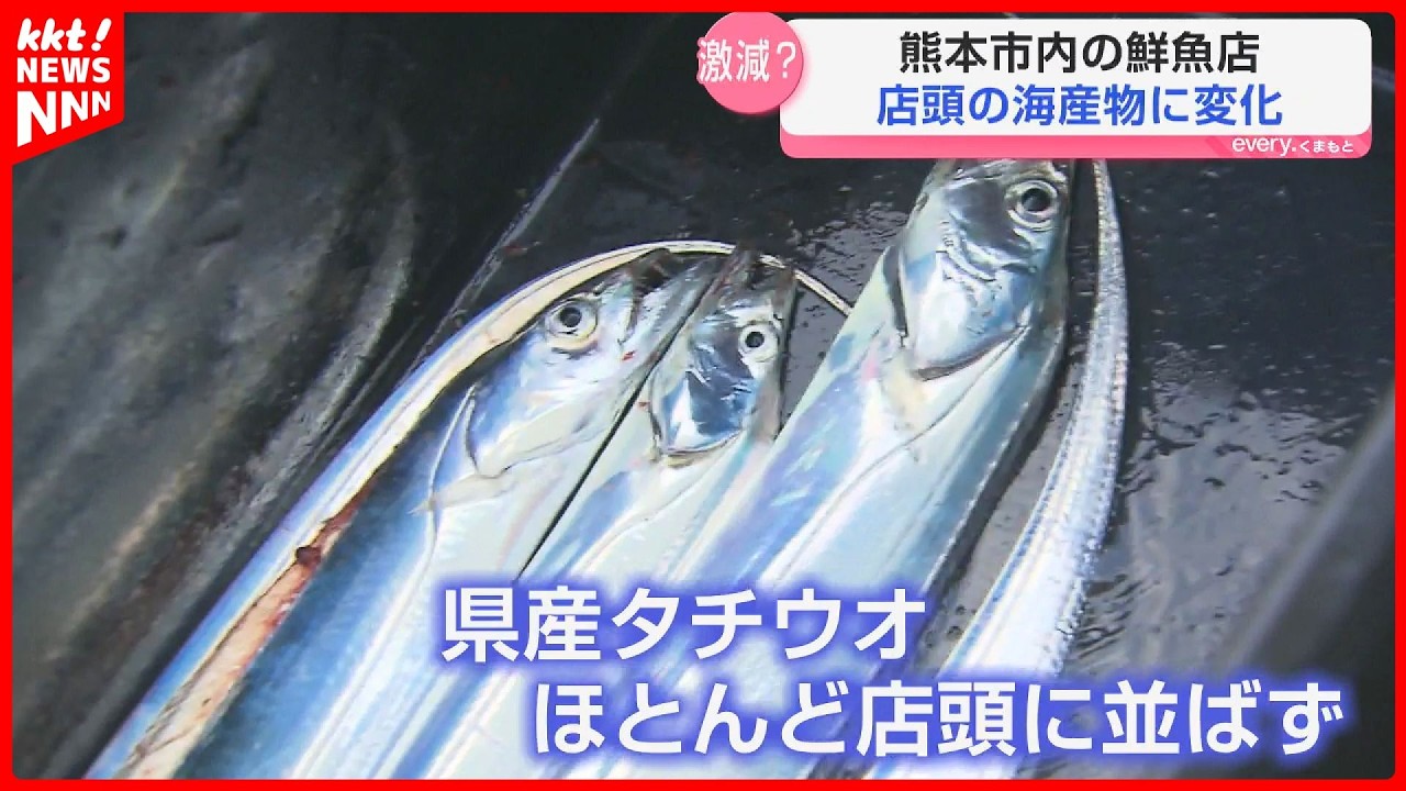 ゴルときfish 2本目 Is dolphin the cause?] 