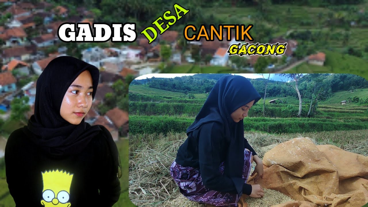 Luar biasa..! GADIS DESA CANTIK | gacong di sawah terindah di kampung poronggol buniwangi