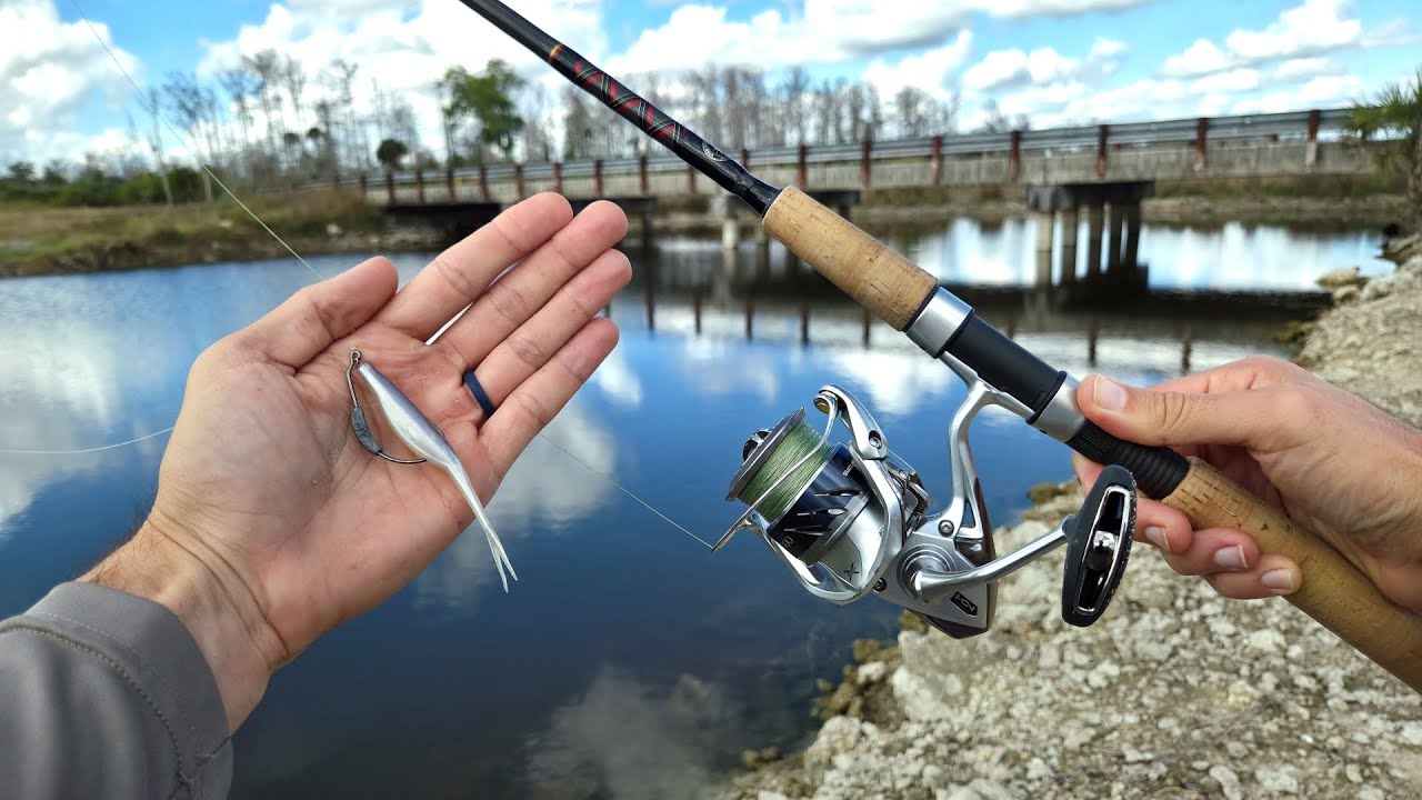 Fishing Tiny Ponds For Big Fish (Snook, Tarpon & Peacock Bass)