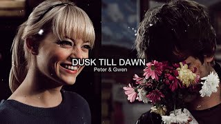 Vignette de la vidéo "Peter & Gwen || Dusk Till Dawn"