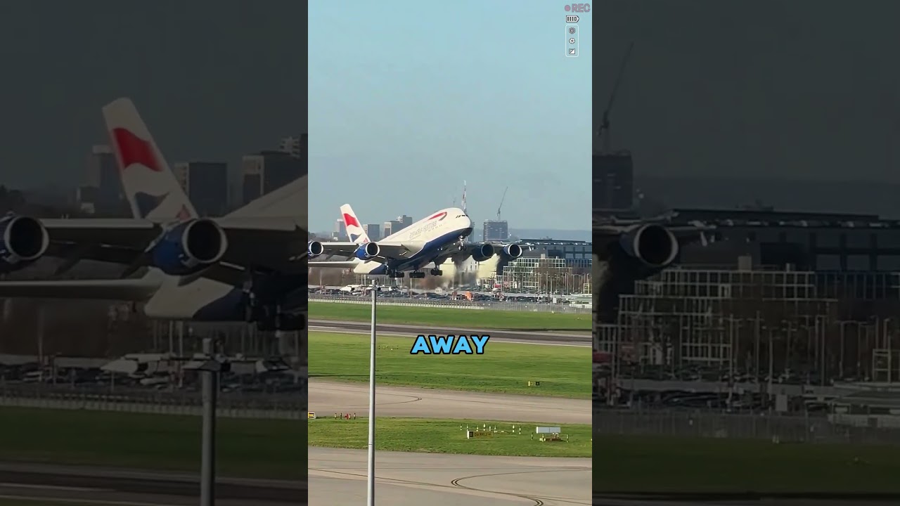 This is a dream job for lazy people — $20,000 a month