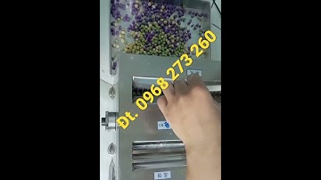 Máy làm trân châu tươi, Máy vo viên trân châu trà sữa , Máy tạo viên khoai dẻo