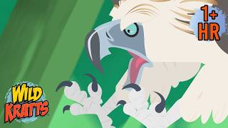 Save the Dodos Wild Kratts Time Travel Adventure Scholastic Kids