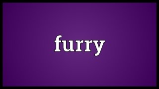 Furry Meaning