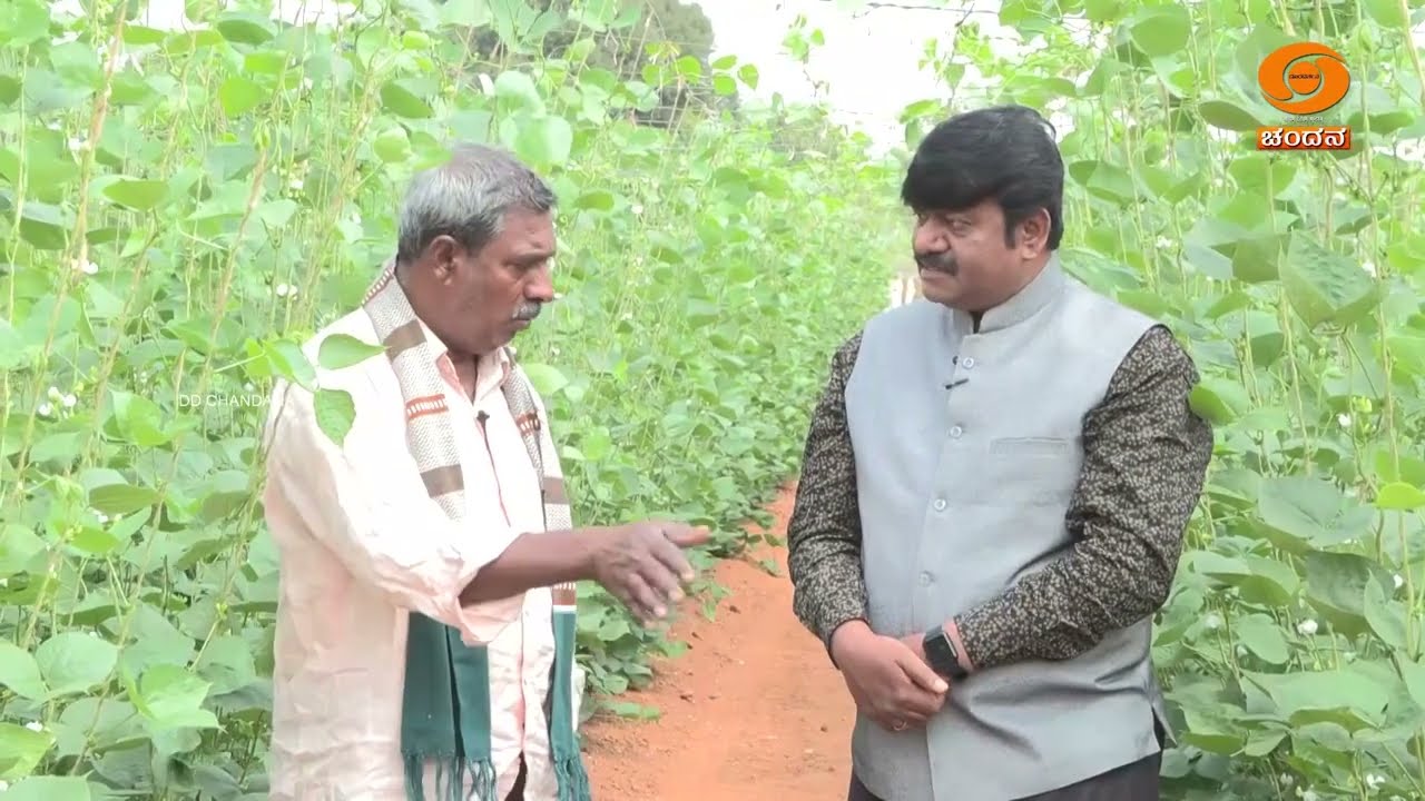 Krishi Darshana | ಅಂತರರಾಷ್ಟ್ರೀಯ ಪುಷ್ಪ ಹರಾಜು ಮಾರುಕಟ್ಟೆಯ ಕಾರ್ಯಚಟುವಟಿಕೆಗಳು | 02.03.2026 | DD Chandana