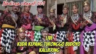 LIVE KUDA KEPANG TURONGGO BUDOYO KALI JERING PADURESO