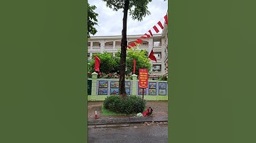 Cờ hoa rực rỡ cả ngôi trường chào mừng kỷ niệm 80 năm quốc khánh 2/9 và năm học mới 2025-2026