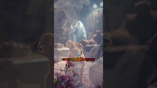 4 Signs That A Ghost Or Spirit Is Near You