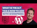 What Are Alt Tags? 🖼️ How to Manage in WordPress
