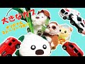 うーたん ワンワン 童話 大きなカブ☆でも何故か救急車 パトカー 消防車 郵便車 はたらくくるまも登場！？ワンワンがおじいさんに うーたんが孫娘になって大きなカブを熱演★いないいないばあっ！ 人形劇