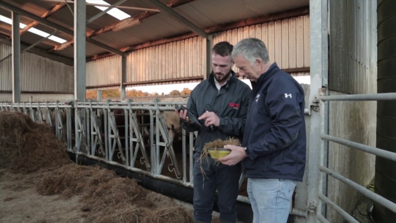 GAIN Feeds Beef Support Services - Cormac Kelly Offaly