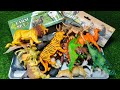 ASMR  6:22 Minutes Satisfying Unboxing Animal Toys,  Cow Giraffe Elephant Tiger Panda Rhinoceros