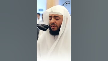 وديع اليمني || فلا صدق ولا صلى || تلاوة مبكية تخطف القلوب 🤍