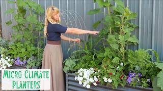 Beauty & Food While Harvesting Heat - How the Shop Wall Microclimate Planters Are Doing This Season