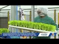 Greater Cincinnati-based 80 Acres Farms to end operations