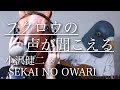 【ウマすぎ注意⚠︎】《Full.歌詞付》フクロウの声が聞こえる/小沢健二とSEKAI NO OWARI 鳥と馬が歌うシリーズ