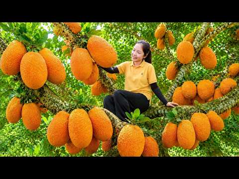 Harvesting Sweet Orange Durians 🧺 Selling Everything At The Local Market | Daily Garden