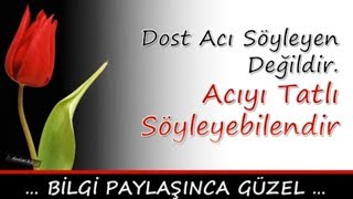 Dost Acı Söyleyen Değildir Acıyı Tatlı Söyleyebilendir