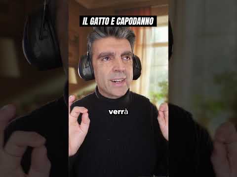 Il gatto e capodanno